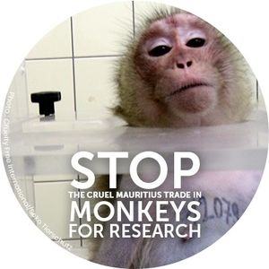 Meet your Posher, Marie